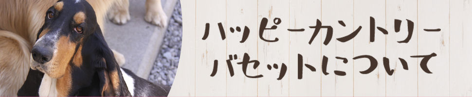 ハッピーカントリーバセットについて