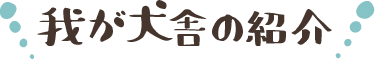 我が犬舎の紹介