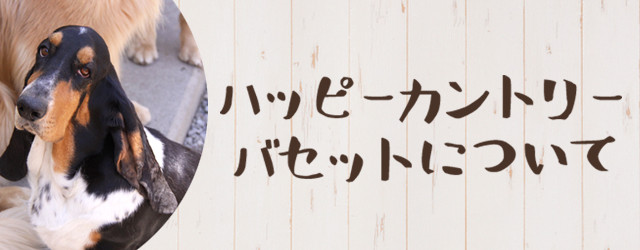 ハッピーカントリーバセットについて